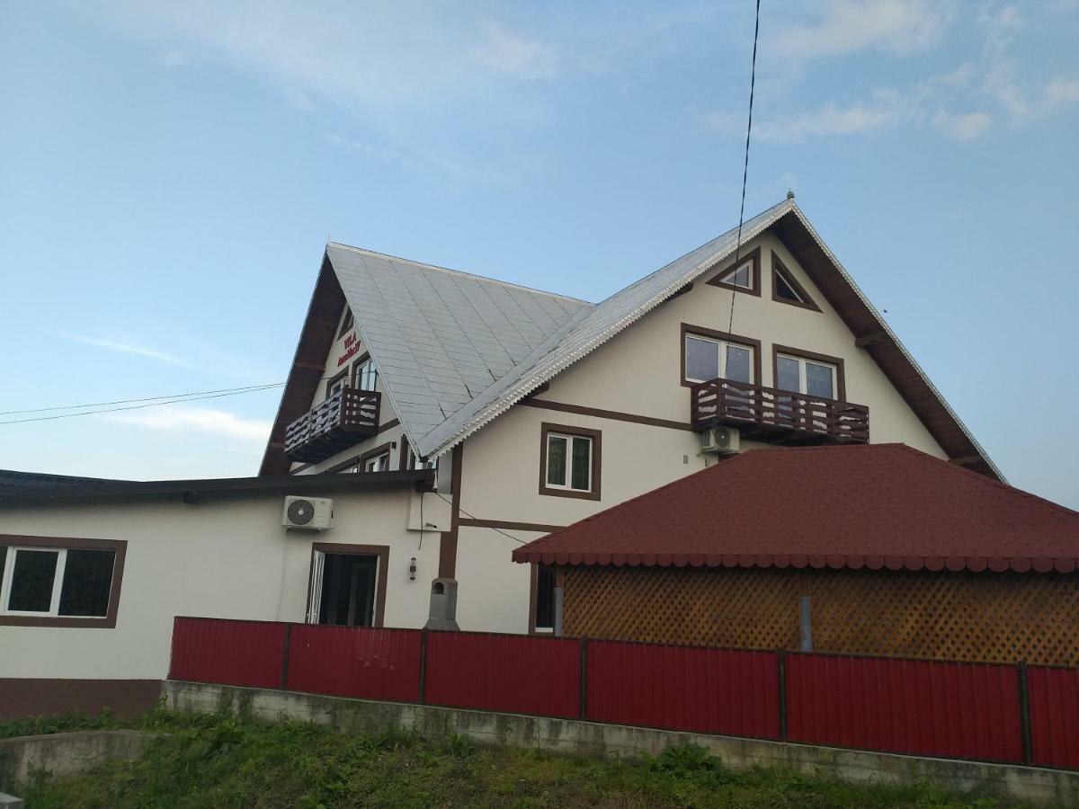Vila Annemaryy Arbore 外观 照片